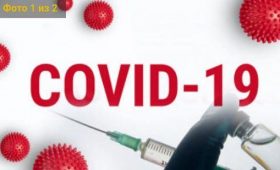 Найпоширеніші фейки про вакцинацію від COVID-19